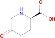 (R)-5-oxopiperidine-2-carboxylic acid