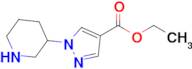 Ethyl 1-(piperidin-3-yl)-1H-pyrazole-4-carboxylate