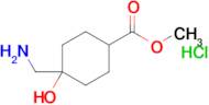 Methyl 4-(aminomethyl)-4-hydroxycyclohexane-1-carboxylate hydrochloride