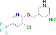 3-Chloro-2-(piperidin-3-ylmethoxy)-5-(trifluoromethyl)pyridine hydrochloride