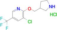 3-Chloro-2-(pyrrolidin-3-ylmethoxy)-5-(trifluoromethyl)pyridine hydrochloride