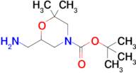 Tert-butyl 6-(aminomethyl)-2,2-dimethylmorpholine-4-carboxylate