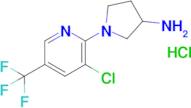 1-(3-Chloro-5-(trifluoromethyl)pyridin-2-yl)pyrrolidin-3-amine hydrochloride