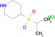 4-(Isopropylsulfonyl)piperidine hydrochloride