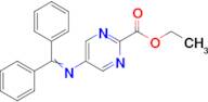 Ethyl 5-((diphenylmethylene)amino)pyrimidine-2-carboxylate