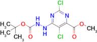 Methyl 6-(2-(tert-butoxycarbonyl)hydrazinyl)-2,5-dichloropyrimidine-4-carboxylate