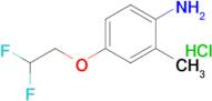 4-(2,2-Difluoroethoxy)-2-methylaniline hydrochloride