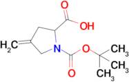 1-(Tert-butoxycarbonyl)-4-methylenepyrrolidine-2-carboxylic acid