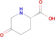 (S)-5-oxopiperidine-2-carboxylic acid