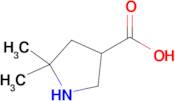 5,5-Dimethylpyrrolidine-3-carboxylic acid