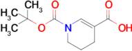 1-(Tert-butoxycarbonyl)-1,4,5,6-tetrahydropyridine-3-carboxylic acid