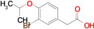 2-(3-Bromo-4-isopropoxyphenyl)acetic acid
