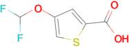 4-(Difluoromethoxy)thiophene-2-carboxylic acid