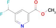 Methyl 5-(difluoromethyl)nicotinate