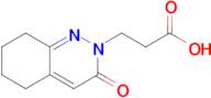 3-(3-Oxo-5,6,7,8-tetrahydrocinnolin-2(3H)-yl)propanoic acid