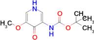 Tert-butyl (5-methoxy-4-oxo-1,4-dihydropyridin-3-yl)carbamate