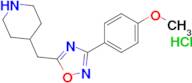 3-(4-Methoxyphenyl)-5-(piperidin-4-ylmethyl)-1,2,4-oxadiazole hydrochloride