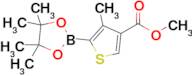 Methyl 4-methyl-5-(4,4,5,5-tetramethyl-1,3,2-dioxaborolan-2-yl)thiophene-3-carboxylate