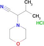 3-Methyl-2-morpholinobutanenitrile hydrochloride