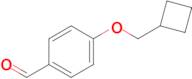 4-(Cyclobutylmethoxy)benzaldehyde