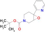 Tert-butyl 6-(pyridin-2-yl)-7-oxa-3-azabicyclo[4.1.0]Heptane-3-carboxylate