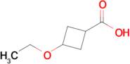 3-Ethoxycyclobutane-1-carboxylic acid