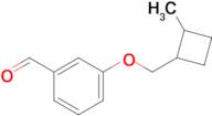 3-((2-Methylcyclobutyl)methoxy)benzaldehyde