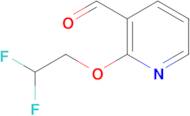 2-(2,2-Difluoroethoxy)nicotinaldehyde