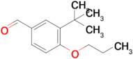 3-(Tert-butyl)-4-propoxybenzaldehyde