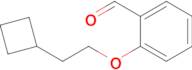 2-(2-Cyclobutylethoxy)benzaldehyde