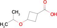 3-Isopropoxycyclobutane-1-carboxylic acid