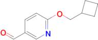 6-(Cyclobutylmethoxy)nicotinaldehyde