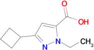 3-Cyclobutyl-1-ethyl-1H-pyrazole-5-carboxylic acid