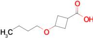 3-Butoxycyclobutane-1-carboxylic acid