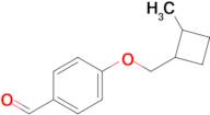 4-((2-Methylcyclobutyl)methoxy)benzaldehyde