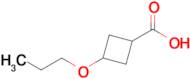 3-Propoxycyclobutane-1-carboxylic acid