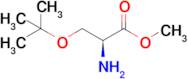 Methyl O-(tert-butyl)-L-serinate