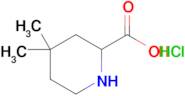 4,4-Dimethylpiperidine-2-carboxylic acid hydrochloride