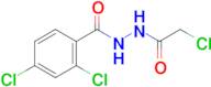 2,4-Dichloro-N'-(2-chloroacetyl)benzohydrazide