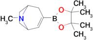 8-Methyl-3-(4,4,5,5-tetramethyl-1,3,2-dioxaborolan-2-yl)-8-azabicyclo[3.2.1]Oct-2-ene