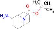 Tert-butyl 2-amino-9-azabicyclo[3.3.1]Nonane-9-carboxylate