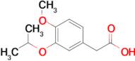 2-(3-Isopropoxy-4-methoxyphenyl)acetic acid