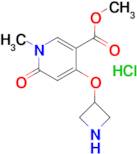 Methyl 4-(azetidin-3-yloxy)-1-methyl-6-oxo-1,6-dihydropyridine-3-carboxylate hydrochloride