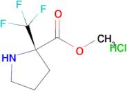 Methyl (S)-2-(trifluoromethyl)pyrrolidine-2-carboxylate hydrochloride