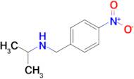 N-(4-nitrobenzyl)propan-2-amine