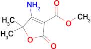 Methyl 4-amino-5,5-dimethyl-2-oxo-2,5-dihydrofuran-3-carboxylate