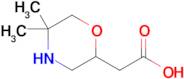 2-(5,5-Dimethylmorpholin-2-yl)acetic acid