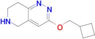 3-(Cyclobutylmethoxy)-5,6,7,8-tetrahydropyrido[4,3-c]pyridazine