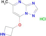 7-(Azetidin-3-yloxy)-5-methyl-[1,2,4]triazolo[1,5-a]pyrimidine hydrochloride