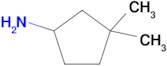 3,3-Dimethylcyclopentan-1-amine